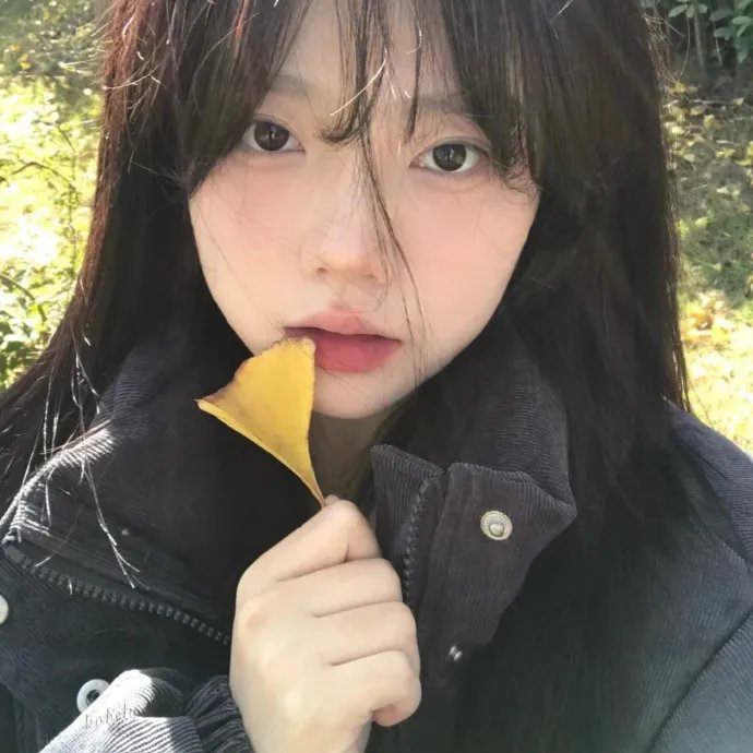 装甲娘战机